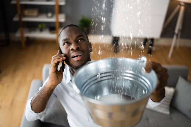 Best Water damage restoration process  in Shawnee Hills, OH