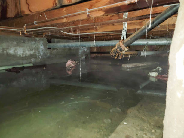 Water damage restoration process in Shawnee Hills, OH