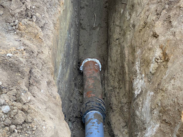 Best Professional water damage repair  in Shawnee Hills, OH