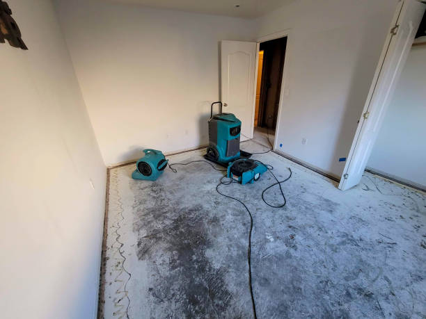 Best Water damage mitigation services  in Shawnee Hills, OH