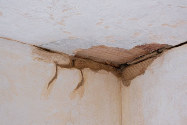 Best Sewage cleanup and water damage restoration  in Shawnee Hills, OH