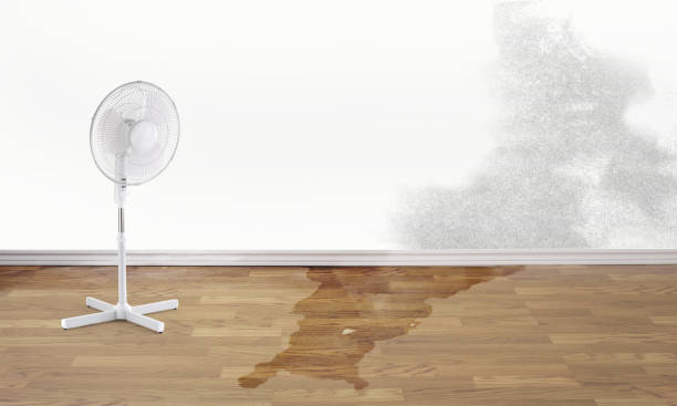 Best Fire Damage Restoration  in Shawnee Hills, OH