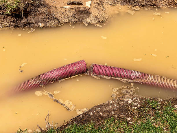 Best Mold removal after water damage  in Shawnee Hills, OH