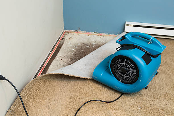 Best Water damage restoration company  in Shawnee Hills, OH